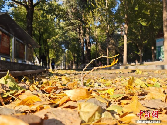 S54·܉܇ؾh(hun)Σ߅L(fng)ò(j)S~䁝M· z