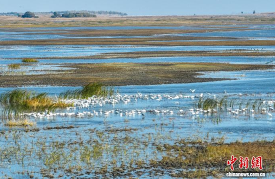 1016ĪĪ(gu)Ҽ(j)Ȼo(h)^(q)(ni)ڑˮ(o(w)˙C(j)Ƭ)w z