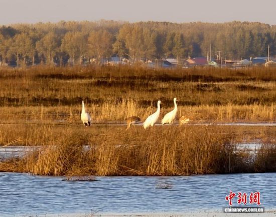 ؚwQȺġС()˰QȺwr z