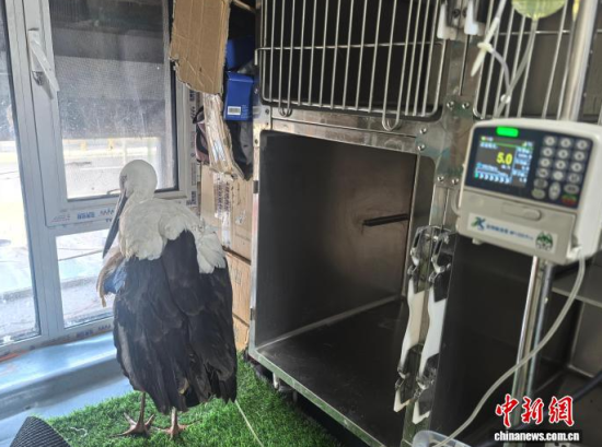 ܂Ė|XڽݔҺίʯ z