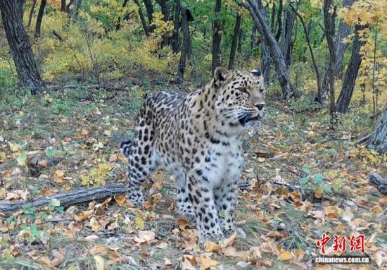 2025ږ|ҹ@ĔzĖ|(ҕýD)