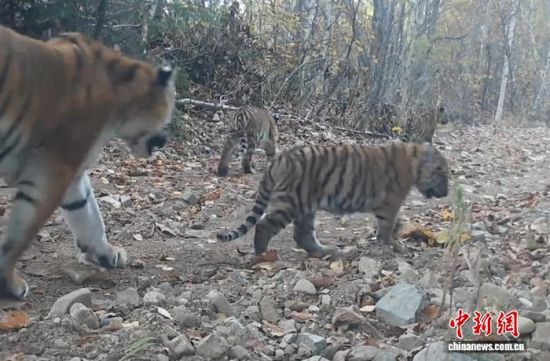 2025ږ|ҹ@ĔzĖ|(ҕýD)