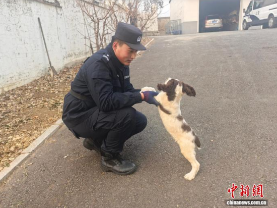 Ҳc[B(yng)Hܶʯ z